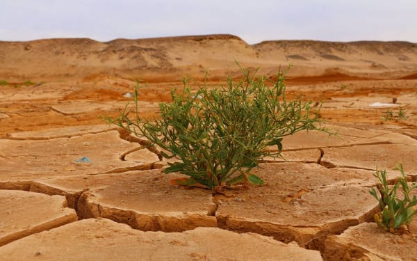 Afrika’da iklim krizi: Doğal afetler, açlık ve göç riski artıyor