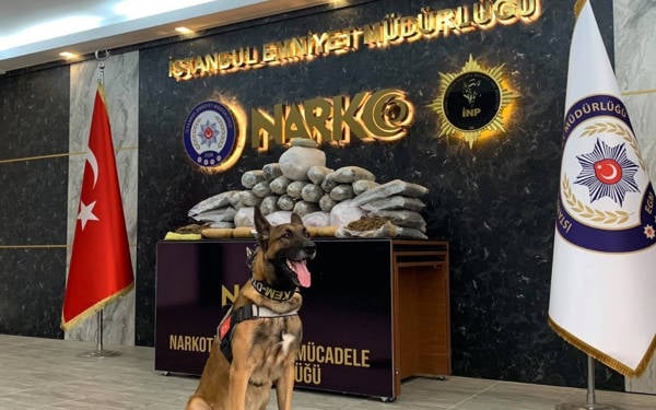 Almanya’nın uyuşturucu ticareti suçlamasıyla aradığı kişi İstanbul’da yakalandı