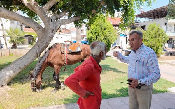 Mersin’de eziyet edilen at kurtarıldı: Antalya’daki bir çiftliğe gönderilecek