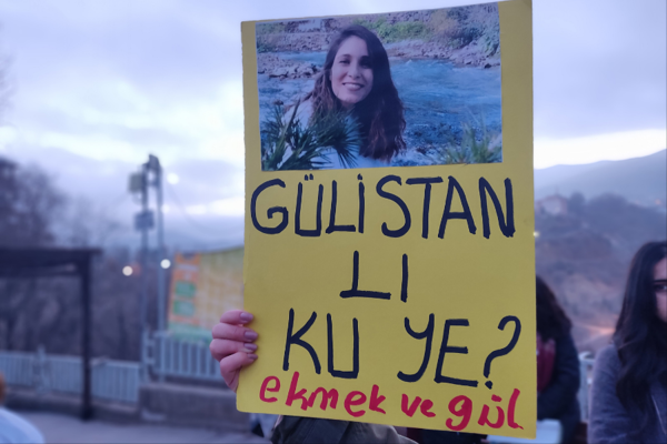 Polîsan bi awayeke deryasayî gelek caran di sîstema xwe de Gulistan Doku lêkolîn kirine