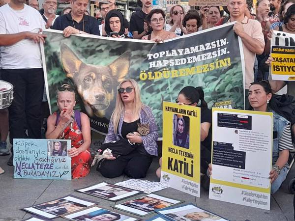 Yaşam hakkı savunucuları eylem yaptı