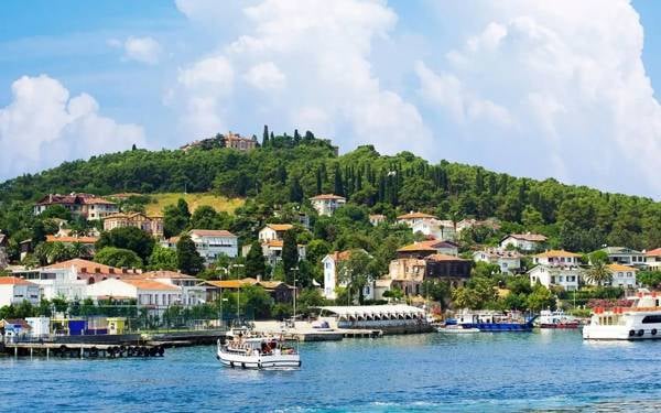 Burgazada’da akülü araç tepkisi: 2 günde 270 imza toplandı