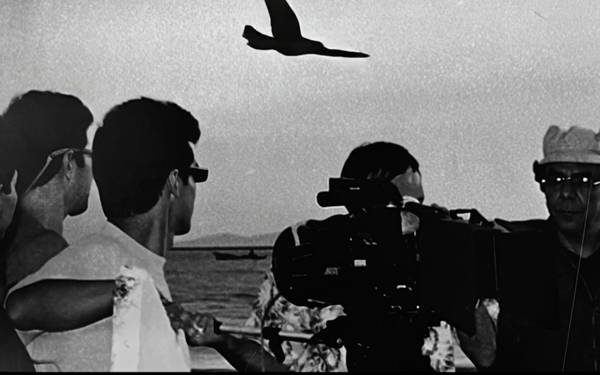 Adana Altın Koza’da 983 kısa filmden 63’ü finale kaldı