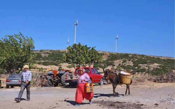 Uğruna altı bin zeytin ağacının kesildiği GES’in yürütmesi durduruldu