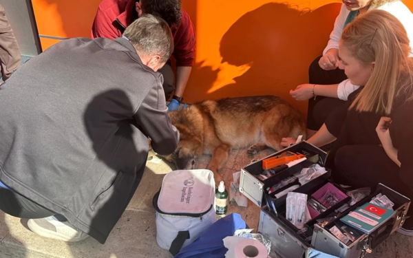 Okulun 10 yıldır baktığı Venüs’e belediye müdahalesi