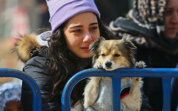 Yok oluşun da var oluşun da kıyısında: Acıyı sağaltma yöntemi olarak soru sormak