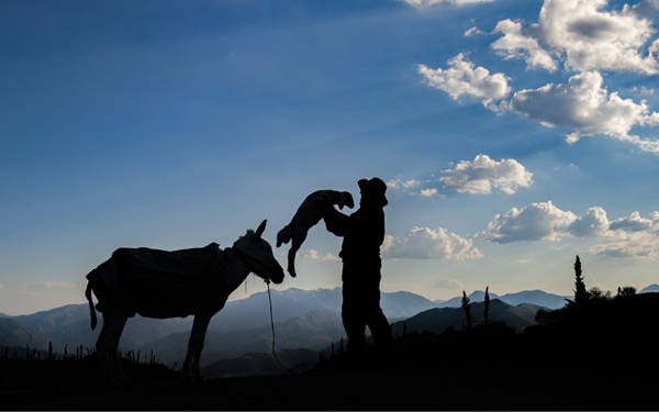 Dersim'deki garip kaya