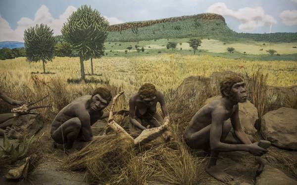 Homo Sapiens