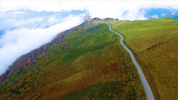 Tales from the Black Sea - I