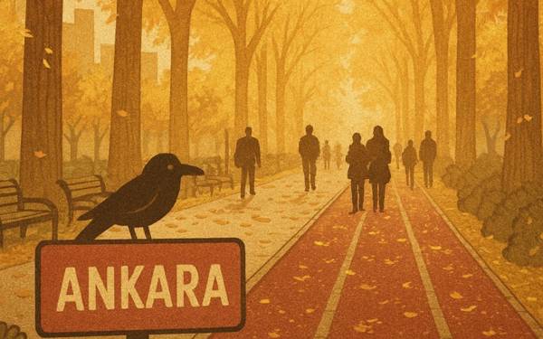 Yaya görünce titreyen arabalar