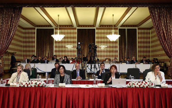 Akademisyenlerin Komisyon sunumları üzerine - II