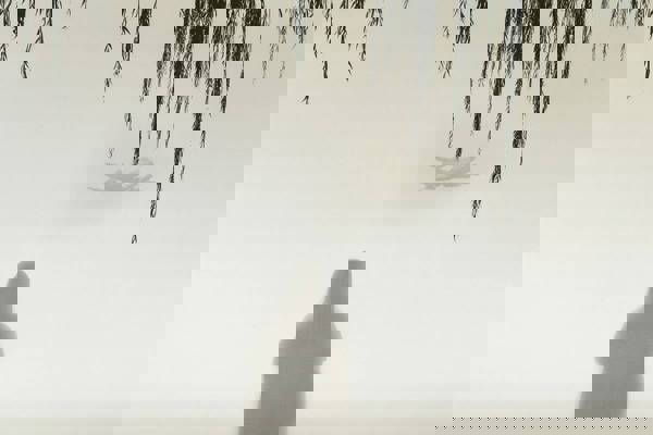 The Beloved from Halabja