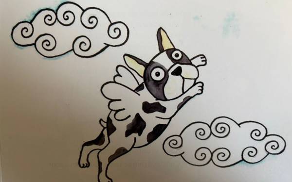 Çocuklara yaşam hakkını anlatan bir köpek: Şans