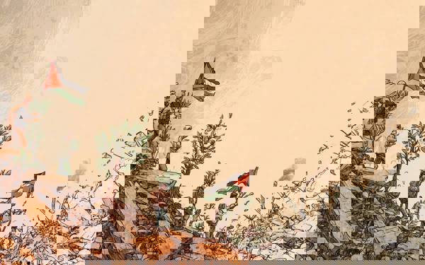 Resistance to digital colonialism in Palestine