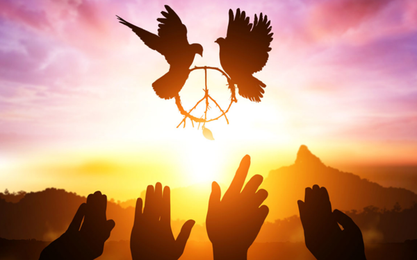 Barış ola, siyasi hesaplardan evla