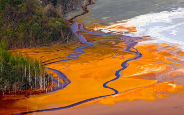Altın uğruna: Nehirler, toprak ve insan