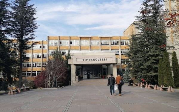 TTB Yönergesi sonrası cinsel şiddet başvuruları dört kat arttı