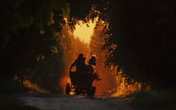 37. Trieste Film Festivali başladı