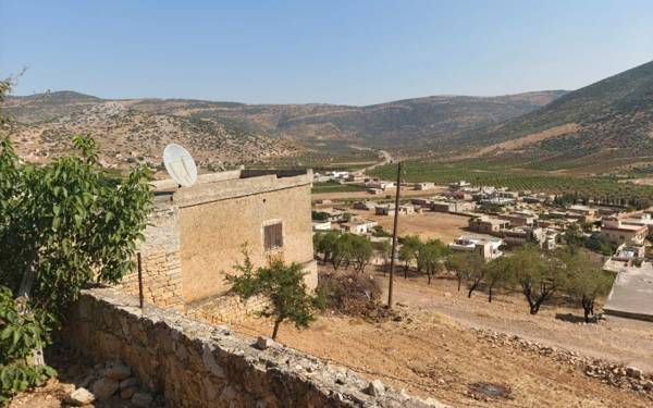 Efrîn’den Almanya’ya, oradan Fransa’ya bir incir ağacı: Hecîra Pitê