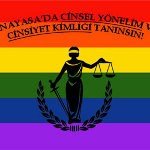 /haber/turkiye-de-yasalar-ayrimciligi-onlemede-yetersiz-118408