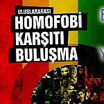 /haber/homofobi-karsiti-bulusma-bu-yil-13-ilde-120446