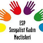 /haber/sosyalist-kadin-meclisleri-nden-bayindir-a-destek-122560
