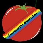 /haber/lambdaistanbul-hormonlu-domates-adaylarinizi-bekliyor-129543