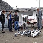 /haber/ermenistan-turkiye-sinema-platformu-filmlere-destek-veriyor-136163