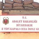 /haber/diyarbakir-dan-tekirdag-a-sevk-insan-haklarina-aykiri-145247