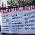 salgını gizlemenin yararı ne?