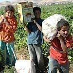 /haber/child-workers-near-900-000-in-turkey-145548