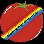 /haber/hormonlu-domatesler-adaylarini-bekliyor-145928