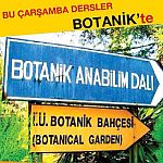 /haber/bu-carsamba-dersler-botanik-te-146983