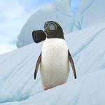 /haber/penguins-are-better-out-in-poles-148418