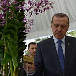 /haber/dendrobium-tayyip-emine-erdogan-in-bakimi-152724