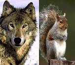 БИРАЕГЪ АЕМАЕ АЕХСАЕРАЕГ