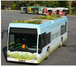 /haber/istanbul-now-has-botanic-buses-158865