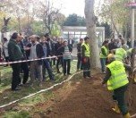 /haber/gezi-parki-ndaki-kazi-durduruldu-160068