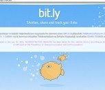 /haber/turkey-bans-bitly-turns-out-to-be-by-accident-163904