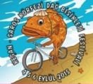 /haber/4-kesan-saros-korfezi-bisiklet-festivali-basladi-167371