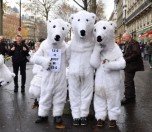 /haber/wwf-agreement-reached-in-paris-but-turkey-at-crossroads-170139