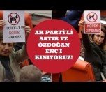 /haber/animal-rights-organization-urges-akp-s-2-mps-to-apologize-to-all-animals-182678