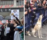 /haber/animal-rights-defenders-stage-demonstration-in-front-of-eyup-municipality-191070