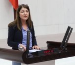 /haber/hdp-submits-inquiry-regarding-data-on-and-causes-of-femicides-204292