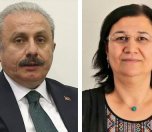 /haber/parliamentary-speaker-sentop-it-wouldn-t-be-right-for-me-to-visit-leyla-guven-207943