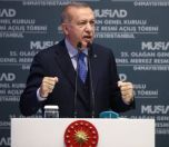 /haber/erdogan-vatandasim-bana-bu-secim-yenilenmeli-diyor-208139