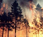 /haber/ecology-association-warns-against-forest-fires-raises-concerns-over-deliberate-ones-209243