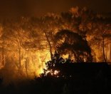 /haber/wildfires-break-out-in-dalaman-milas-in-mugla-province-210322