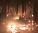 /haber/hbim-group-claims-forest-fires-in-istanbul-mugla-210441