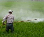 /haber/pesticide-usage-increases-by-57-percent-in-turkey-in-last-decade-210509